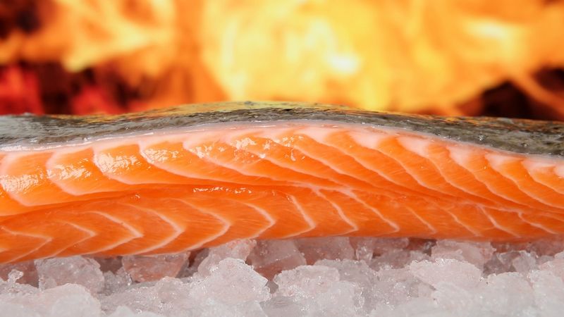 beneficios del salmón para la salud