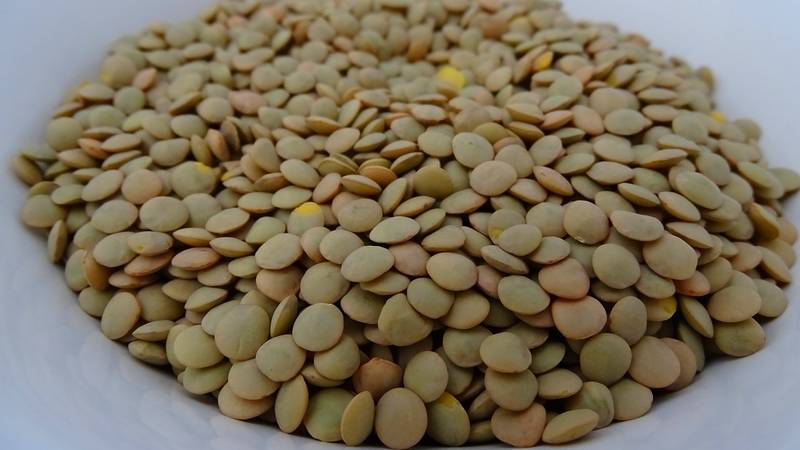 beneficios de las lentejas